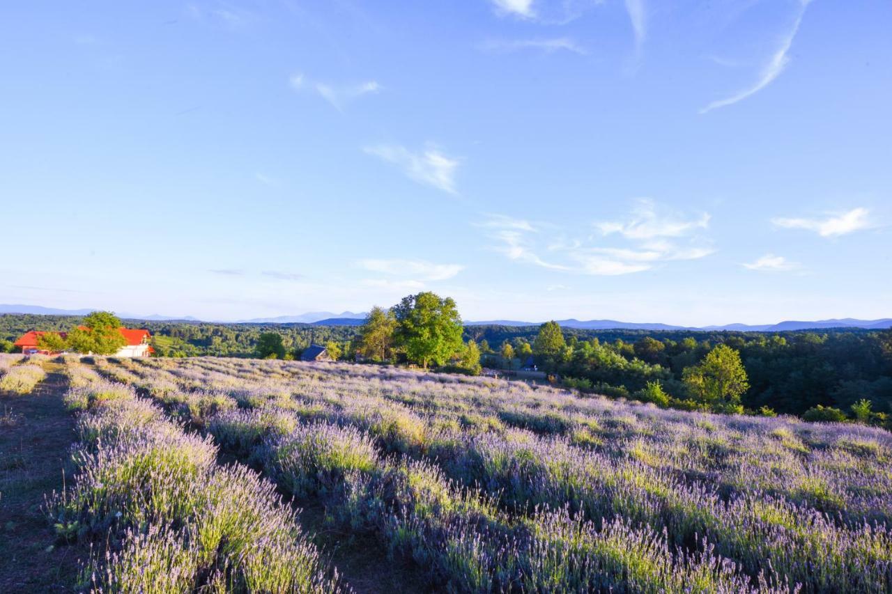 Lavanda Farm Apartmani Rakovica Exterior foto