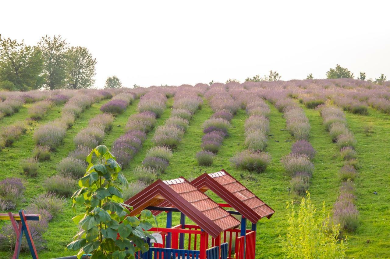 Lavanda Farm Apartmani Rakovica Exterior foto